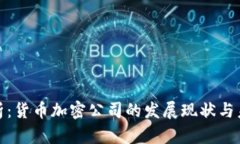 全面解析：货币加密公司