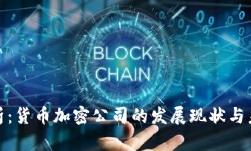 全面解析：货币加密公司的发展现状与未来趋势