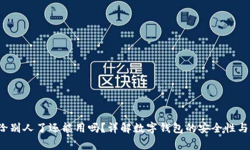  TP钱包地址给别人了还能用吗？详解数字钱包的安全性与使用注意事项