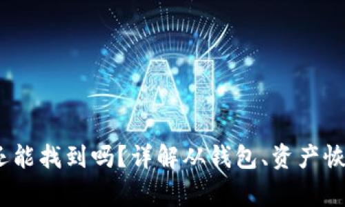 :TP钱包移除的币还能找到吗？详解从钱包、资产恢复到安全注意事项